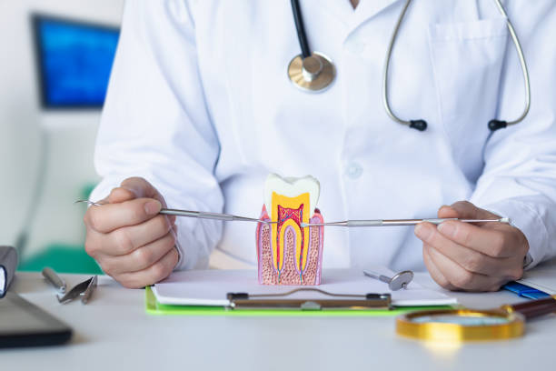 Best Emergency Treatment for Toothache in Sixteen Mile Stand, OH